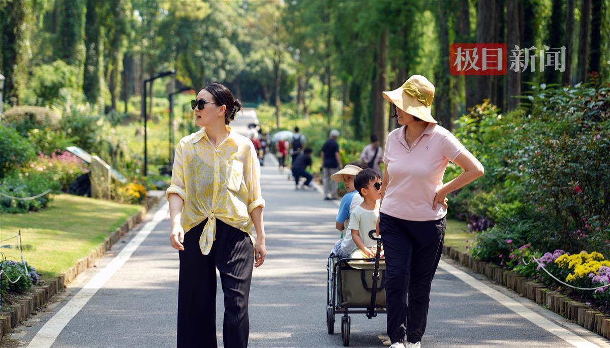 太阳集团81068网址